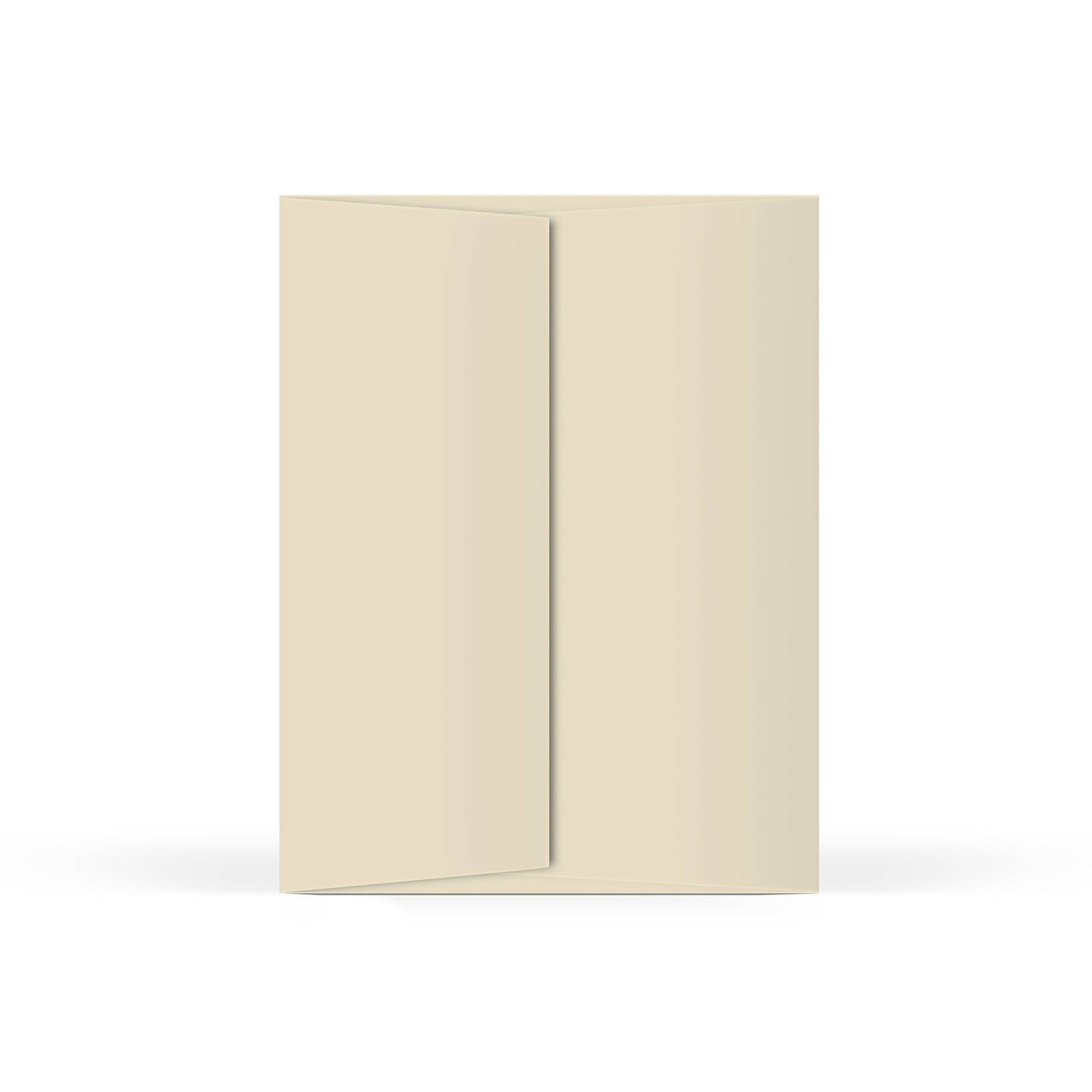 Pooh 100 Birthday Greeting Card