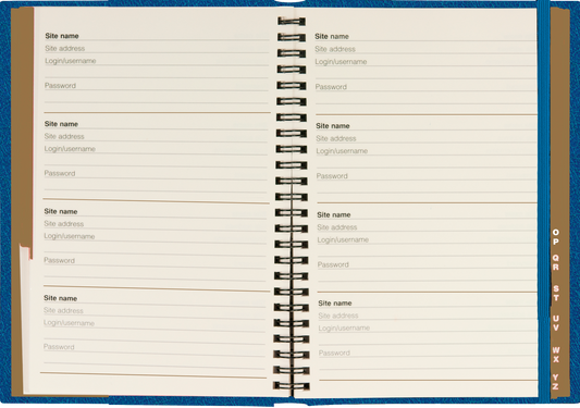 Celestial Large Internet Address & Password Logbook