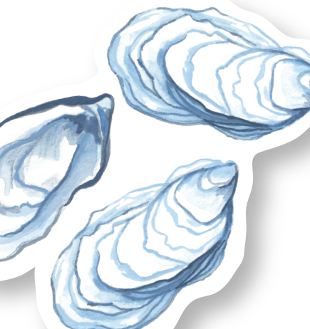 Oyster Coastal sticker