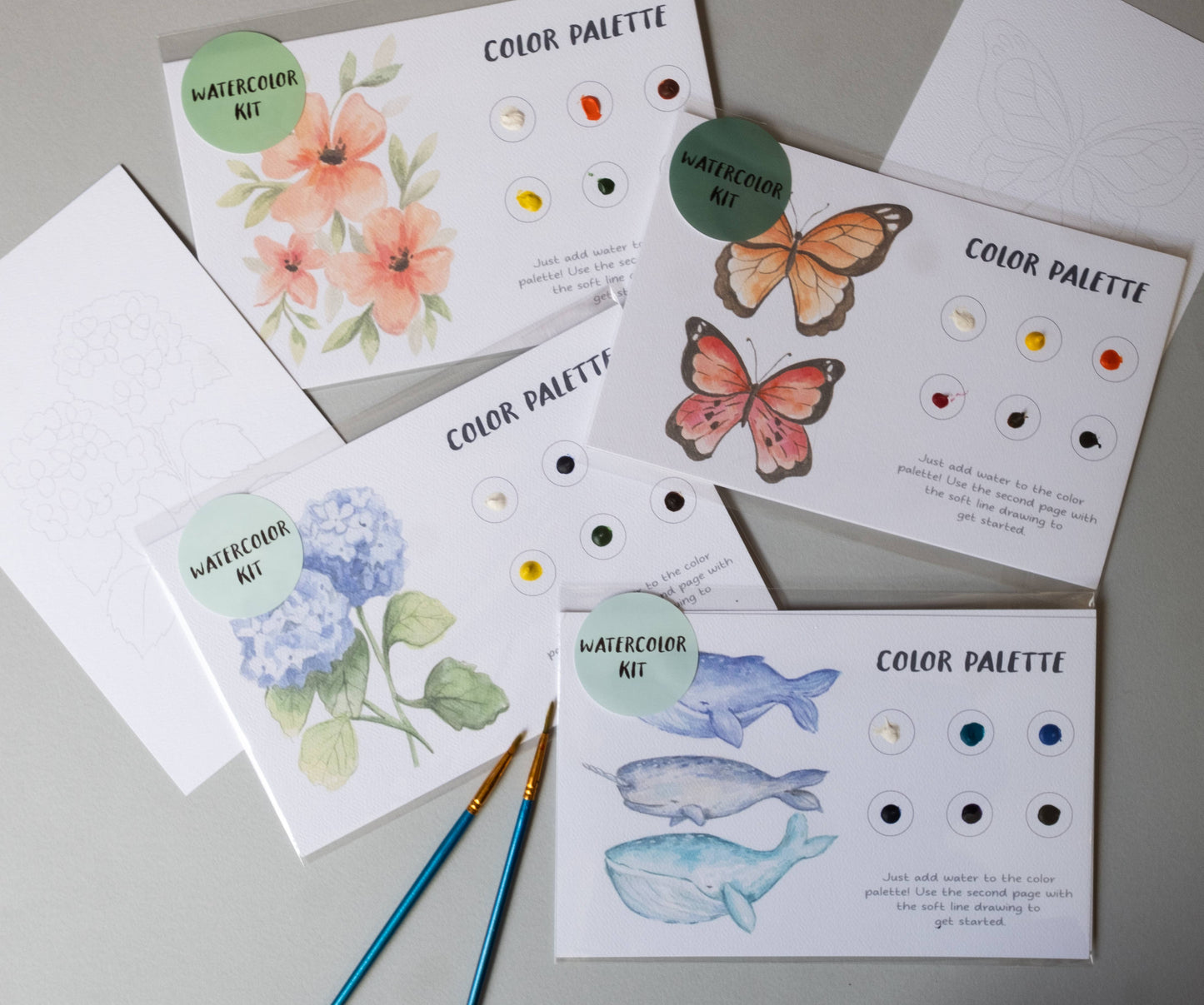 Butterfly Watercolor Painting Art Kit with Outline page