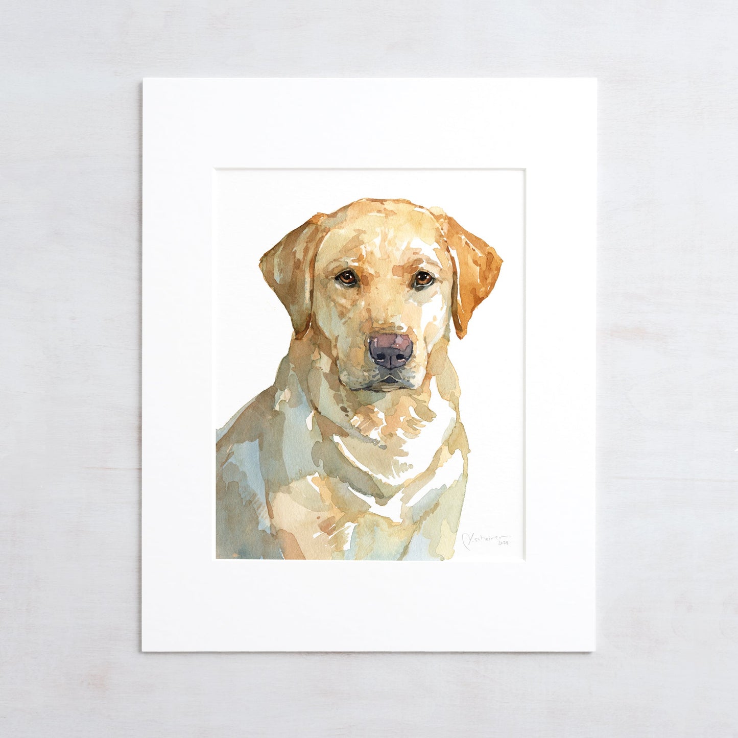 Watercolor print of a yellow Labrador retriever, matted to 11 by 14 inches