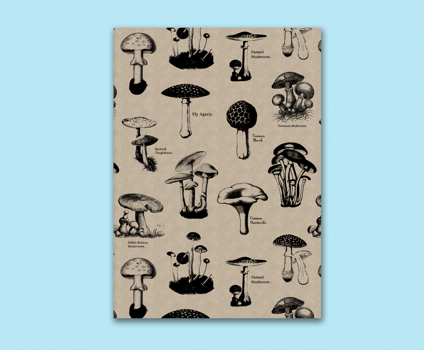 Vintage Mushrooms 5 x 7" Notebook