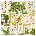 Wrap - Christmas Pine Wrapping Paper
