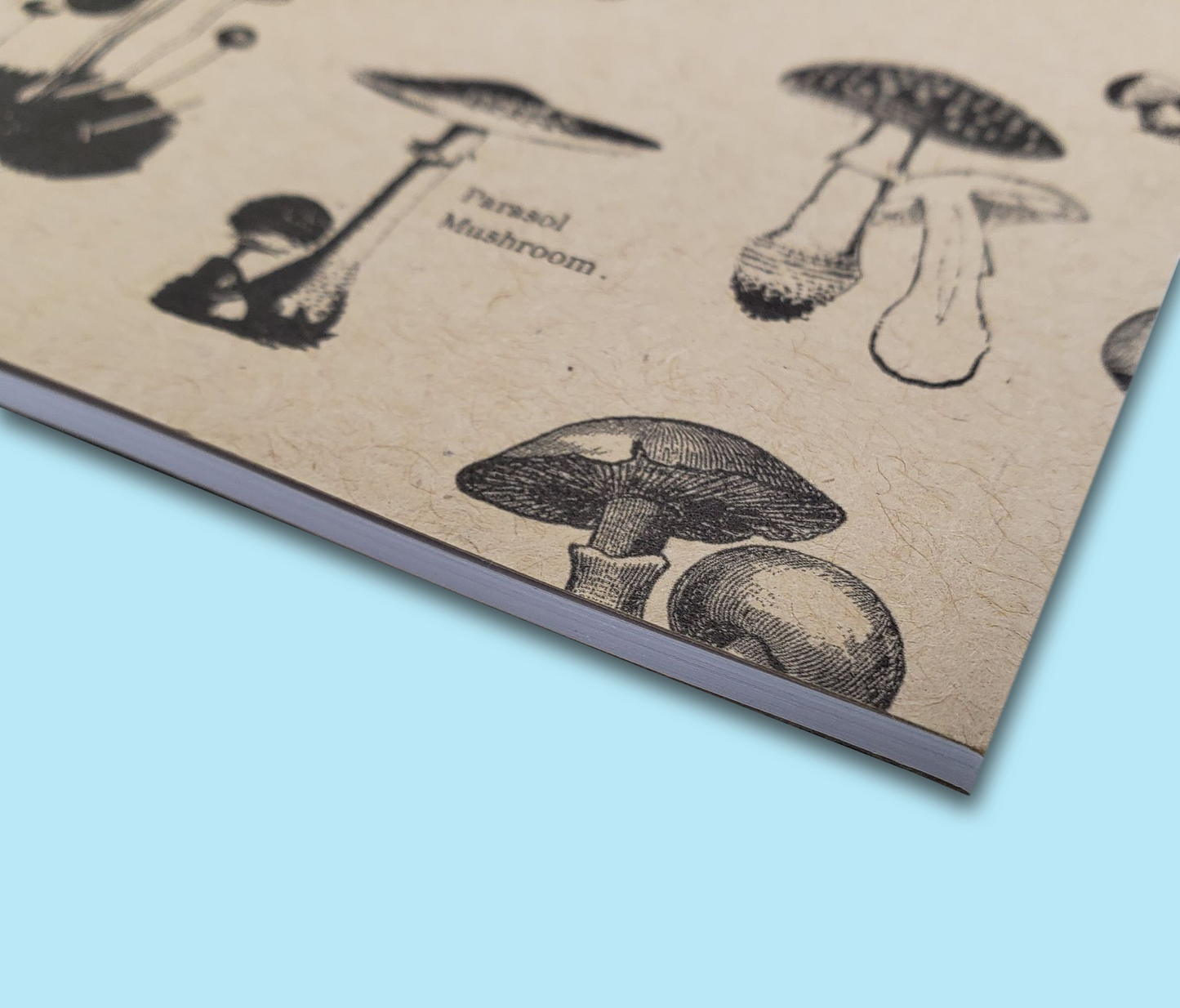 Vintage Mushrooms 5 x 7" Notebook