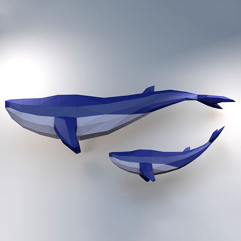 Whale Model by PAPERCRAFT WORLD