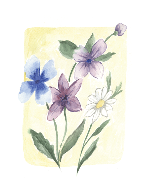 Flower Garden Painting Art Kit with Outline page