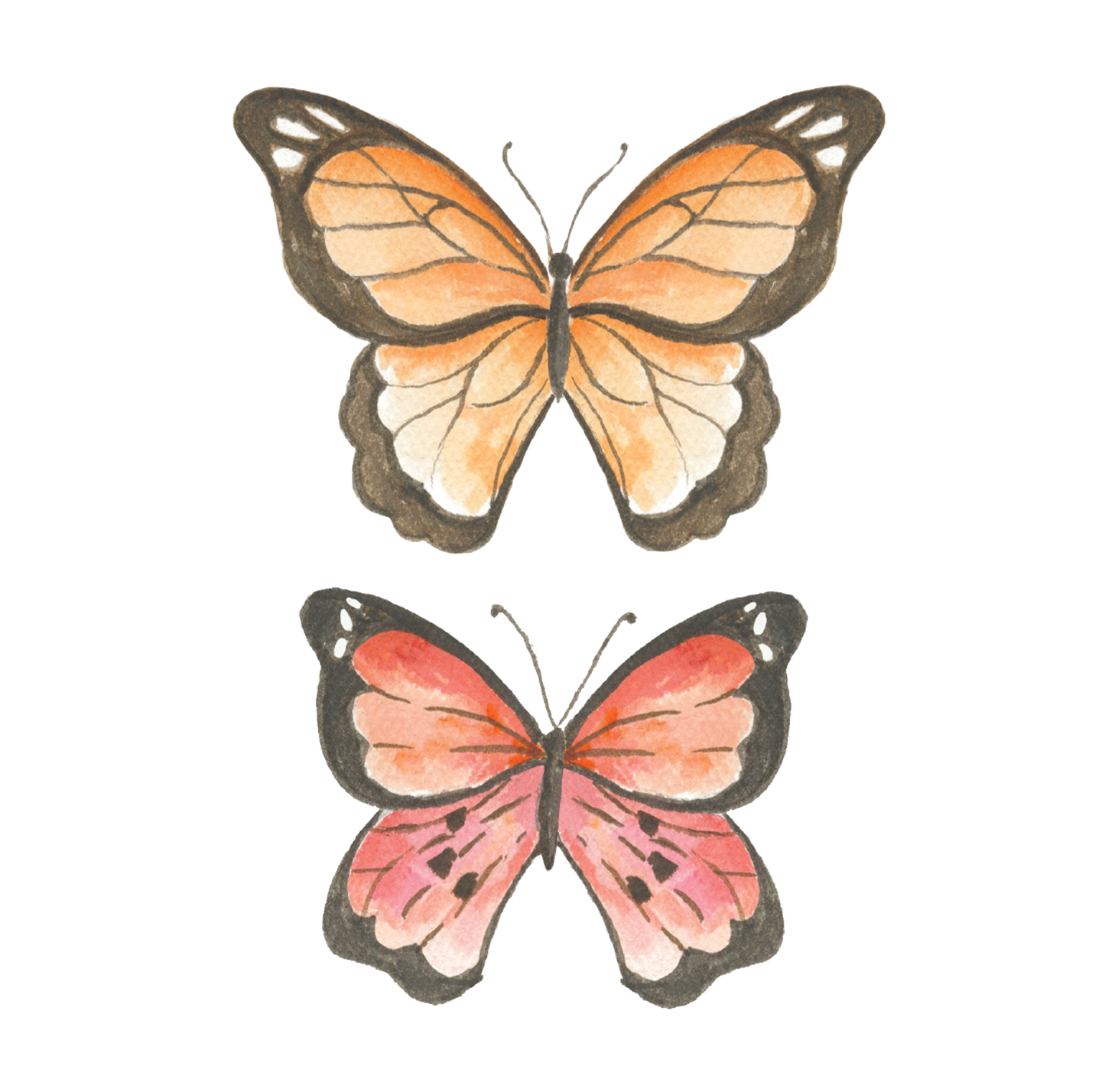 Butterfly Watercolor Painting Art Kit with Outline page