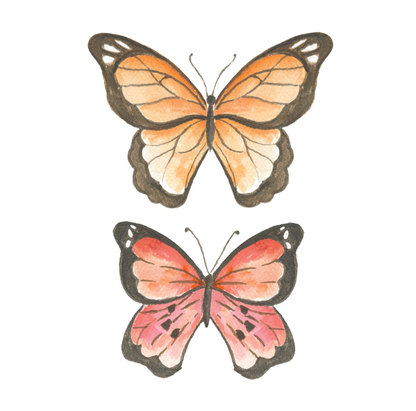 Butterfly Watercolor Painting Art Kit with Outline page