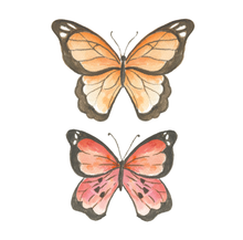 Butterfly Watercolor Painting Art Kit with Outline page