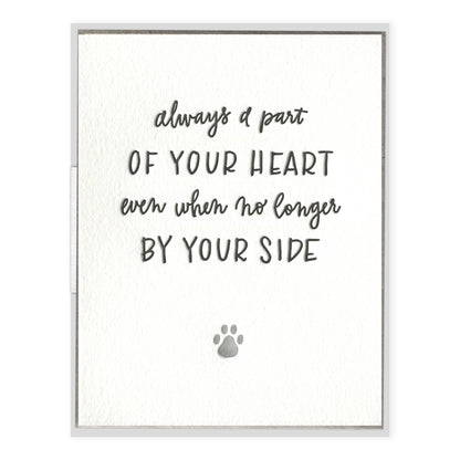 Pet Sympathy - Pets card