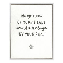 Pet Sympathy - Pets card