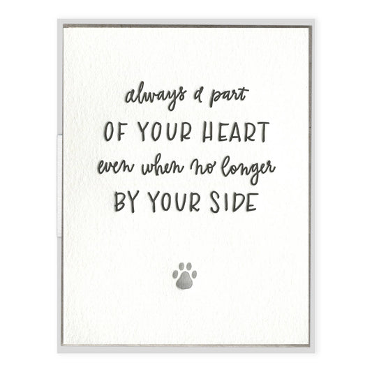 Pet Sympathy - Pets card