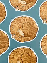 Vinyl Decal - Orange Circle Kitty