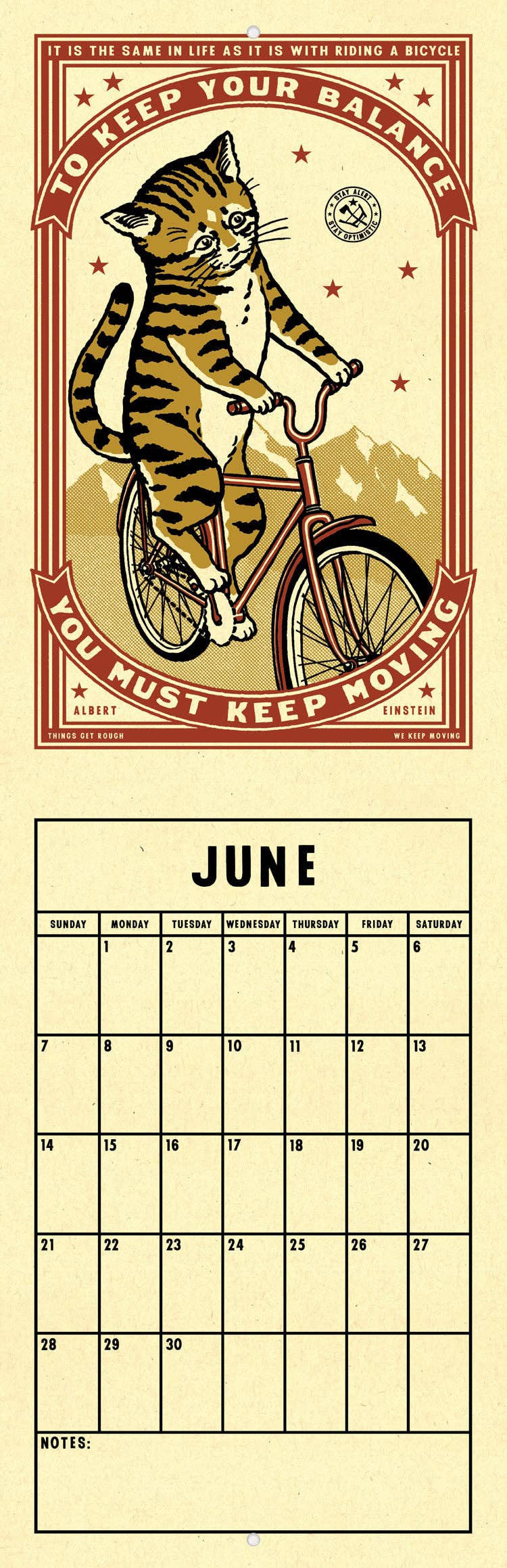 Complicated Friendships Cat 2026 Calendar: 8.5x11