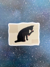 Vinyl Decal - Cat Flag - Our Flag Means Death