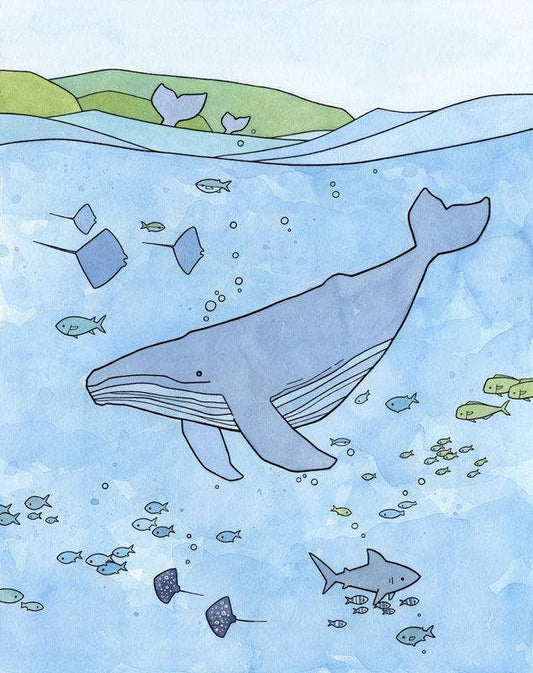 Humpback Whale Print, Tropical Ocean Illustration: 11x14 (no mat)