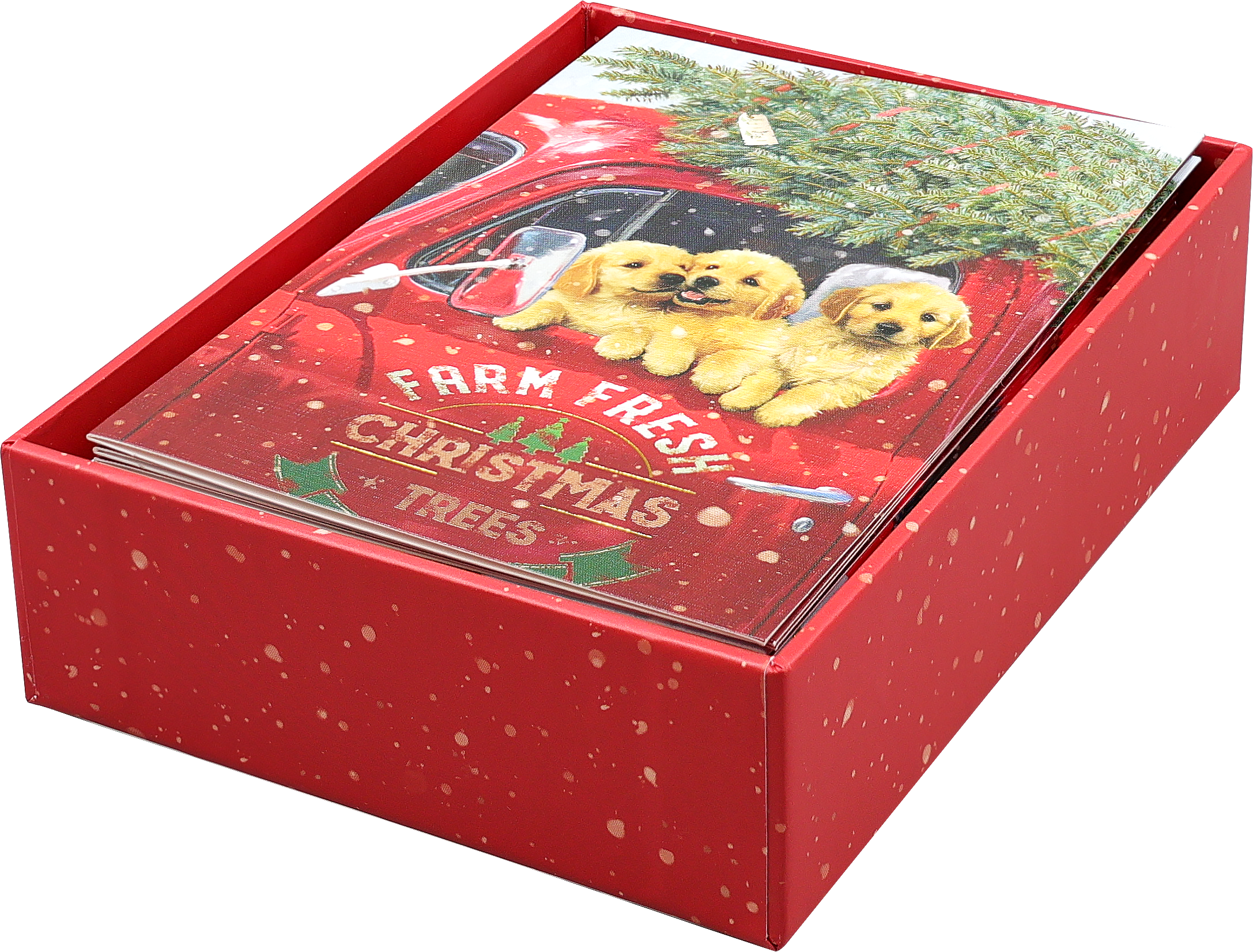 Festive Pups Small Boxed Holiday Cards