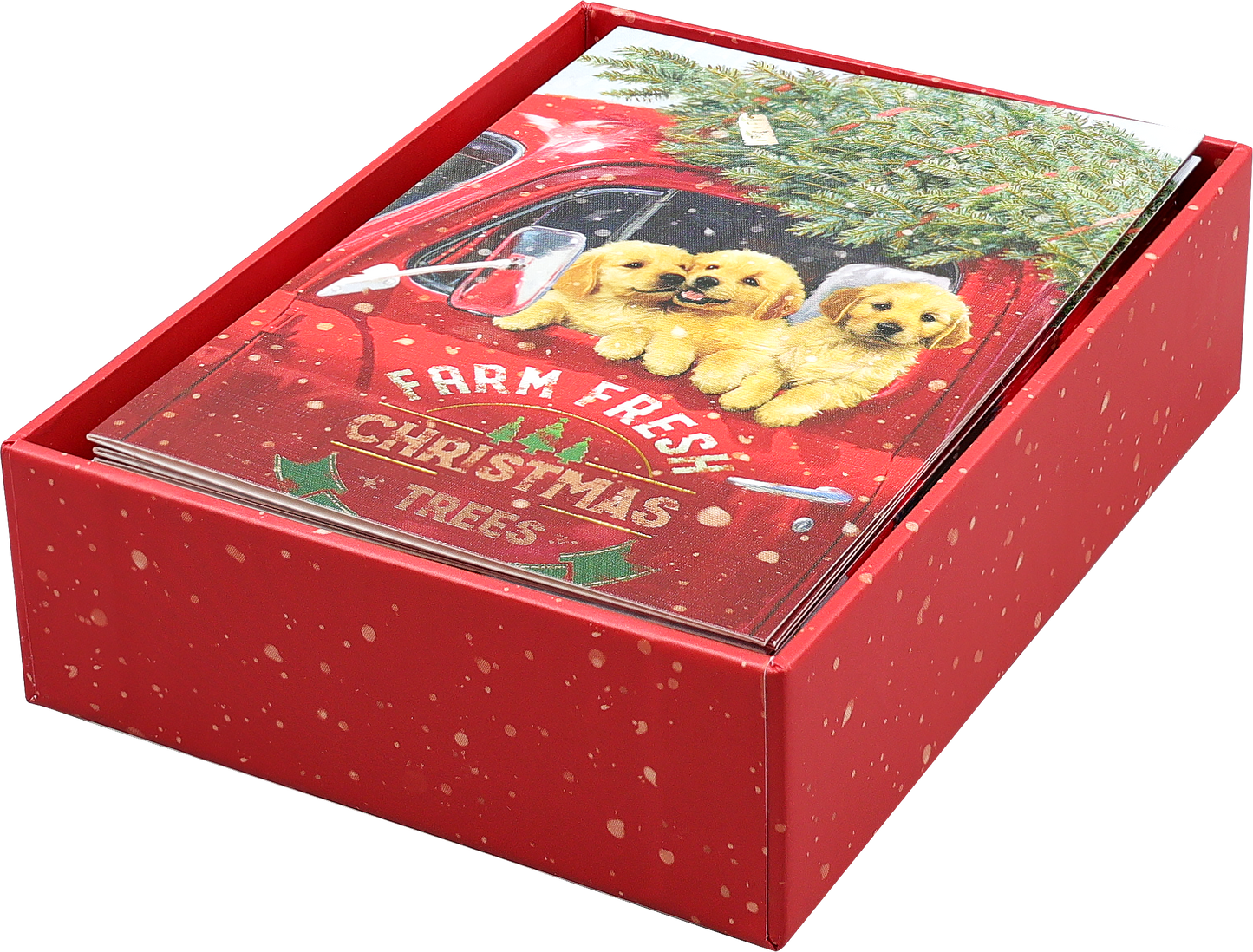 Festive Pups Small Boxed Holiday Cards