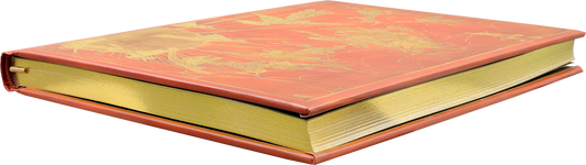 Orange Fairy Journal