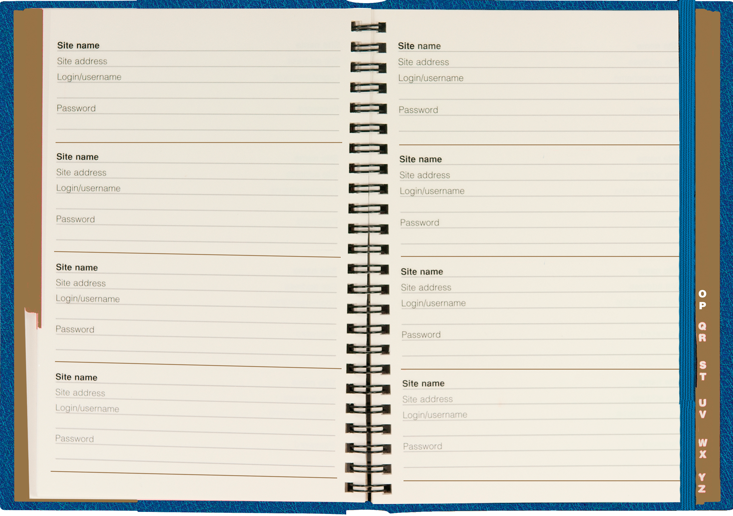 Celestial Large Internet Address & Password Logbook