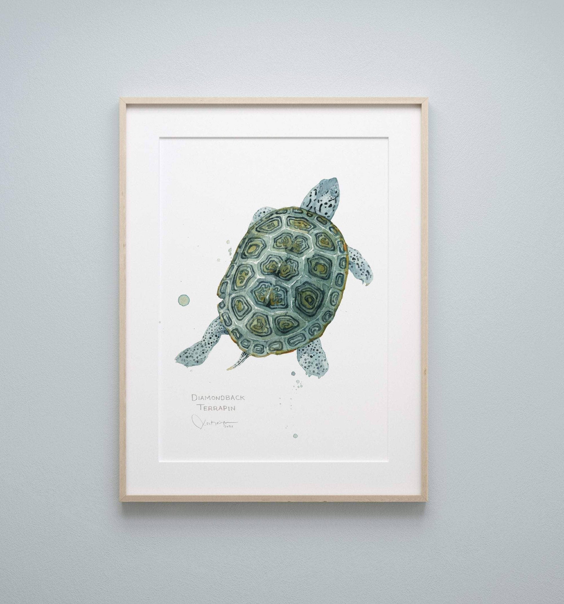 Diamondback terrapin watercolor print, alternate view