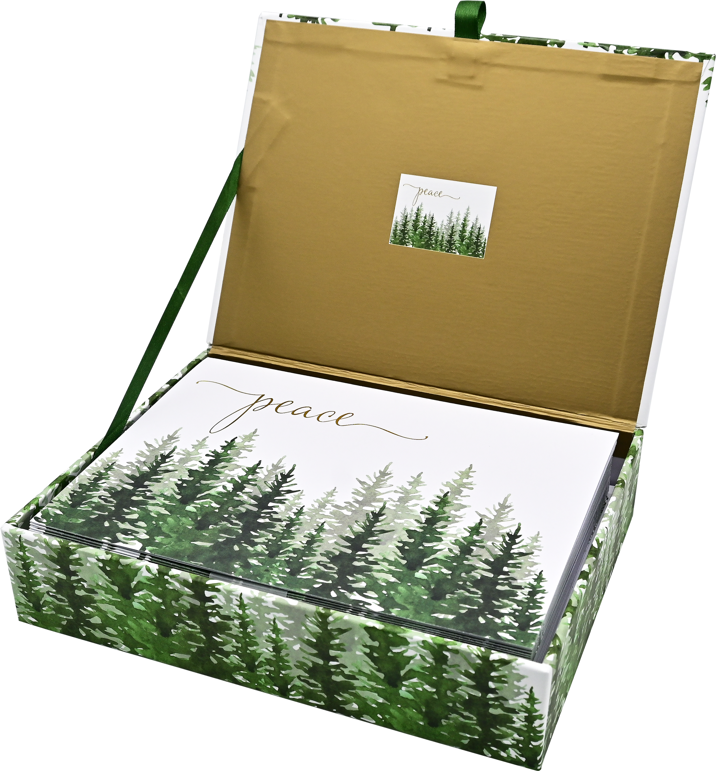 Winter Evergreens Deluxe Boxed Holiday Cards