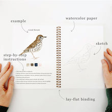 Birds watercolor workbook