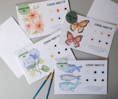 Butterfly Watercolor Painting Art Kit with Outline page