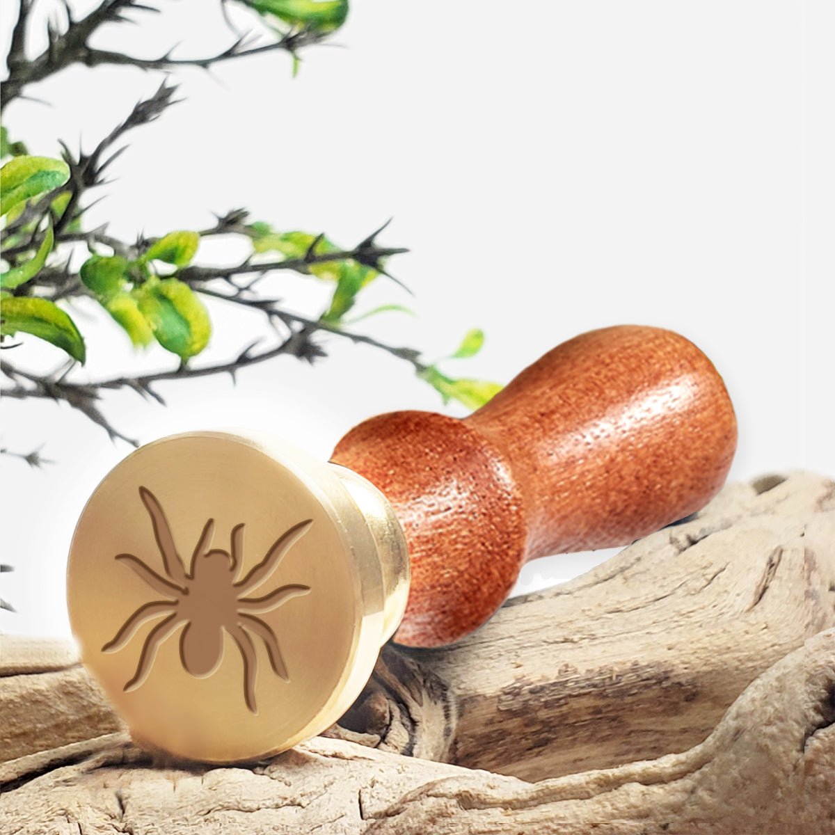 Spider Wax Seal Stamp with Rosewood Wood Handle #D741CD