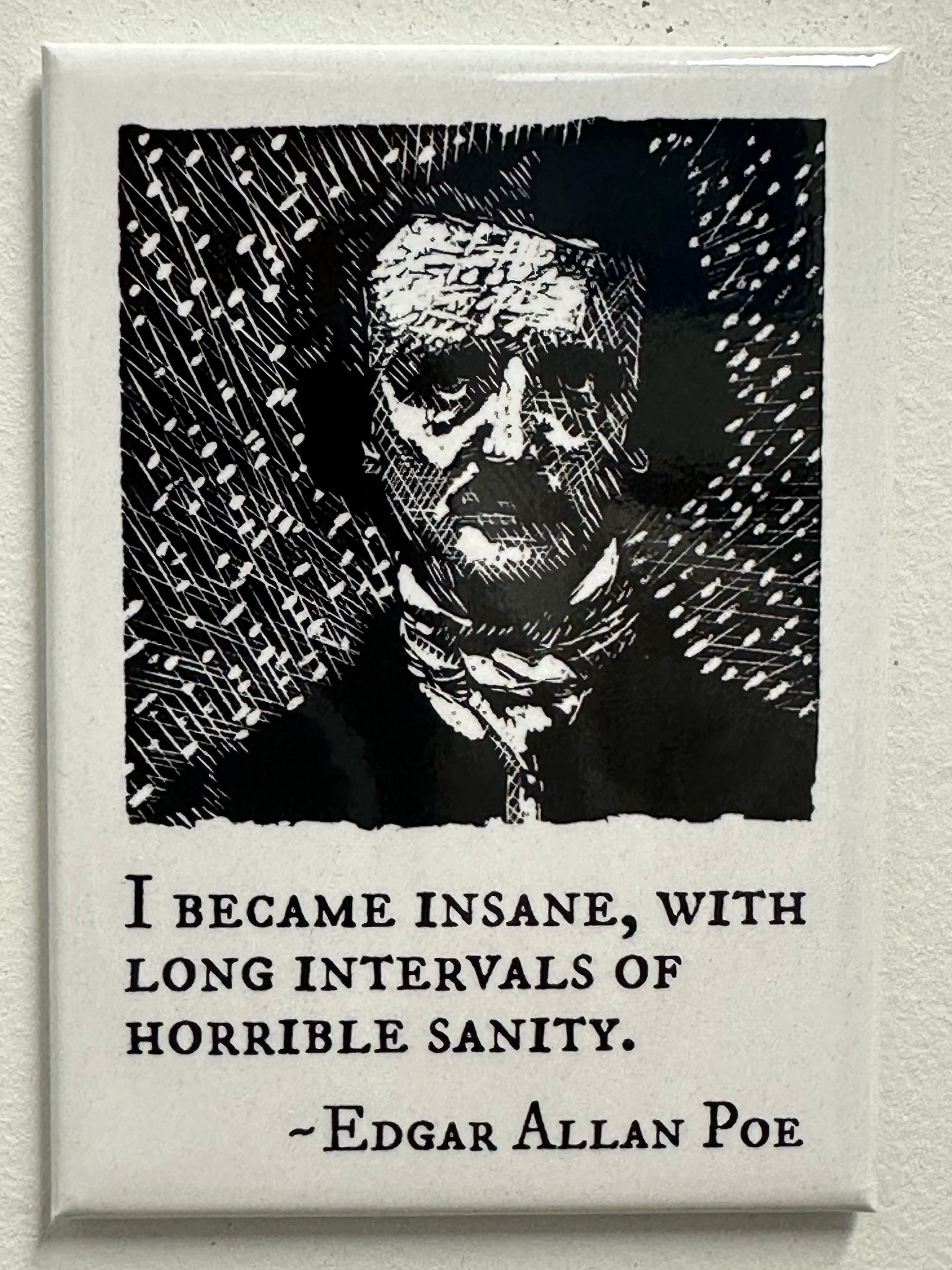 Edgar Allan Poe Quote Magnet – “Words have no power…”