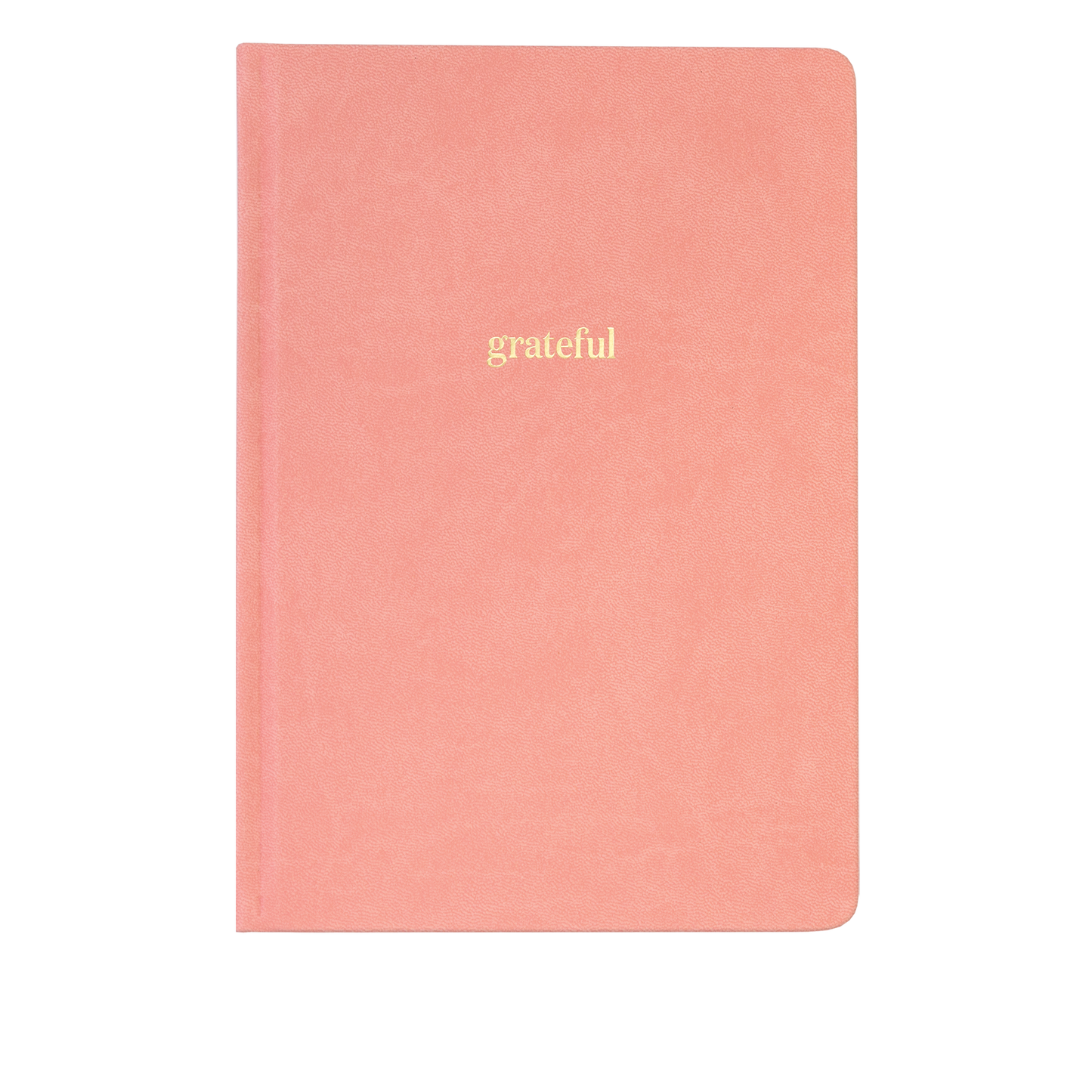 Ink+Volt Gratitude Journal