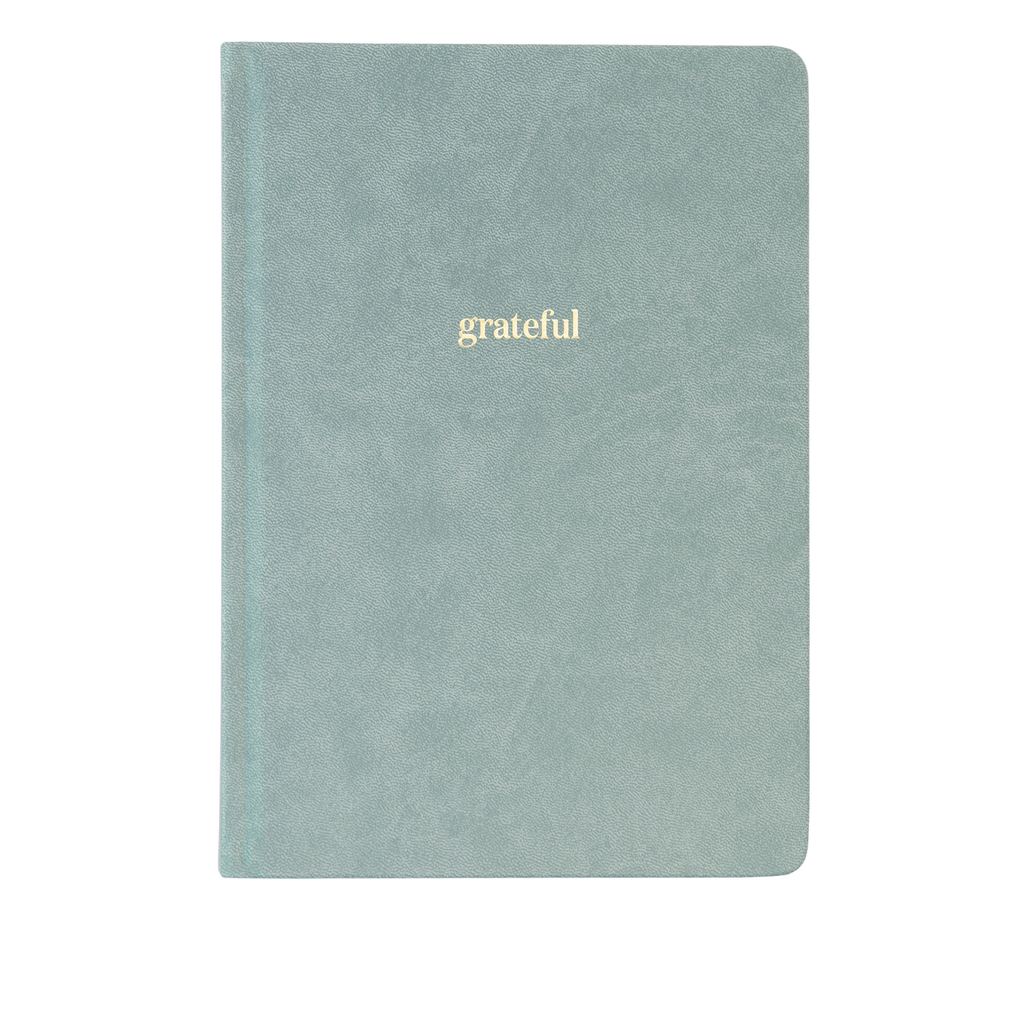Ink+Volt Gratitude Journal