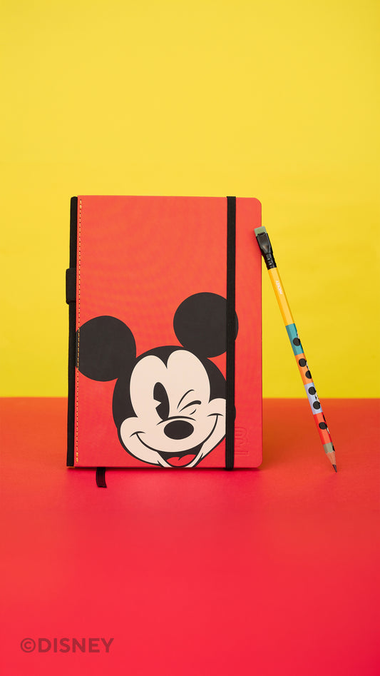 Blackwing Disney Mickey & Minnie Slate Notebook