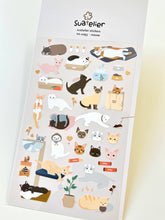 MEOW STICKERS
