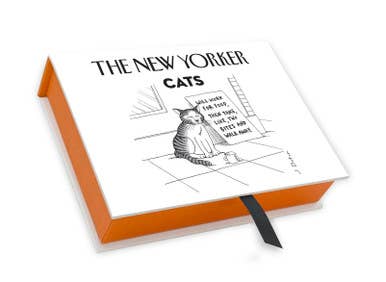 CATS - 4 EACH/5 DESIGNS NY'ER BOXED NOTES
