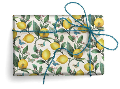 Florentine  Wrapping Paper, Regular Sheets 19.7 x 27.6 in.: Primavera