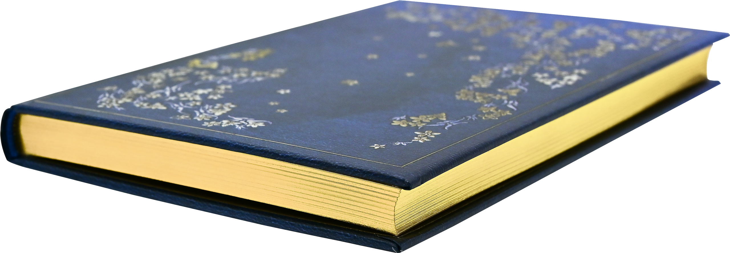 Gilded Branch Journal