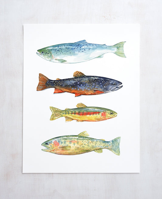Watercolor print of four fish - Atlantic salmon, brook trout, golden trout and cutthroat trout