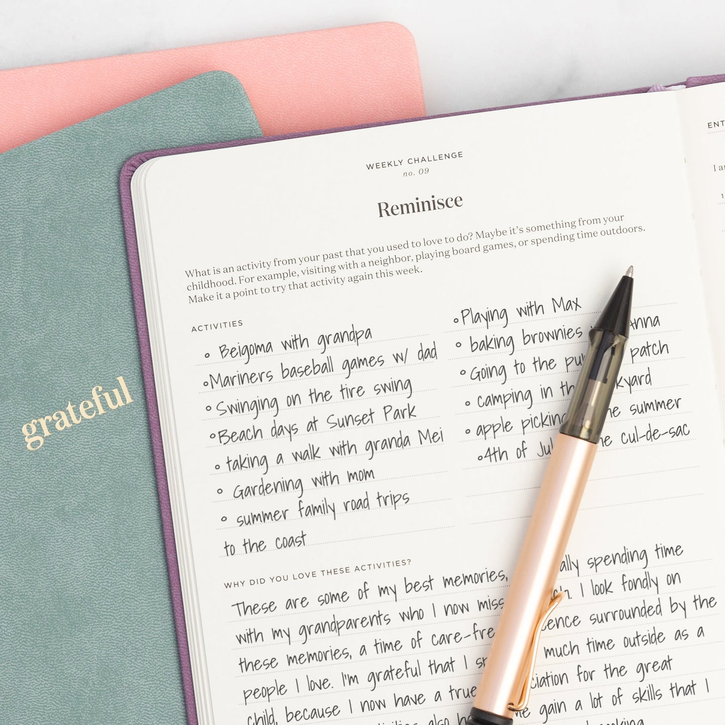 Ink+Volt Gratitude Journal