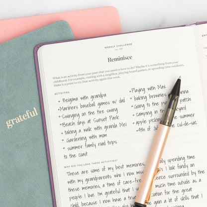 Ink+Volt Gratitude Journal