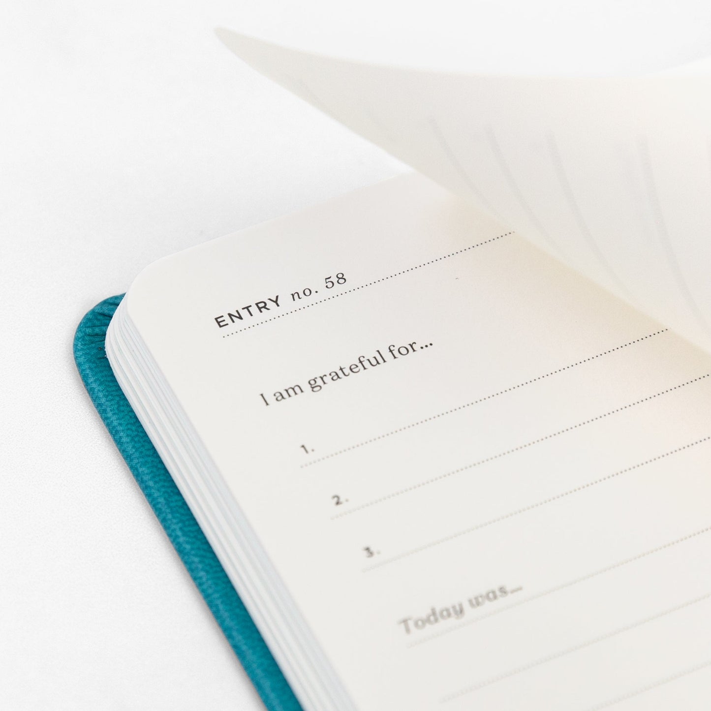 Ink+Volt Gratitude Journal