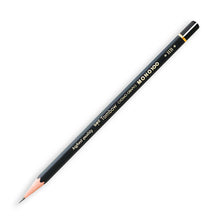 Tombow Pencils - 12