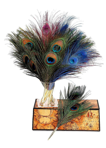 Peacock Feather Ballpoint Pen-Refillable-Natural Color