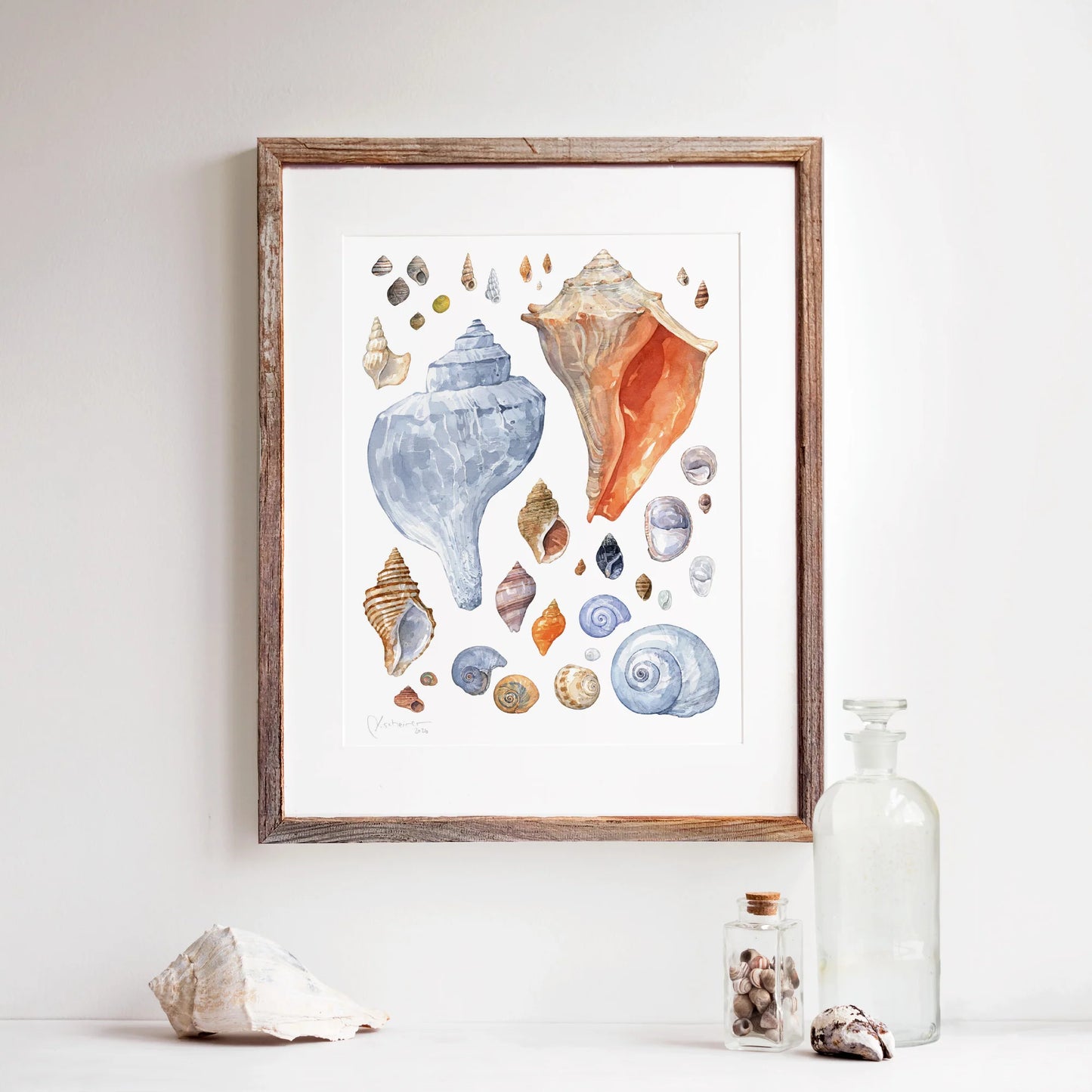 New England Seashells - Studio Tuesday