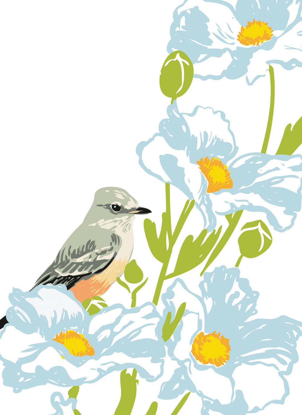 Rigel Stuhlmuller - Misc