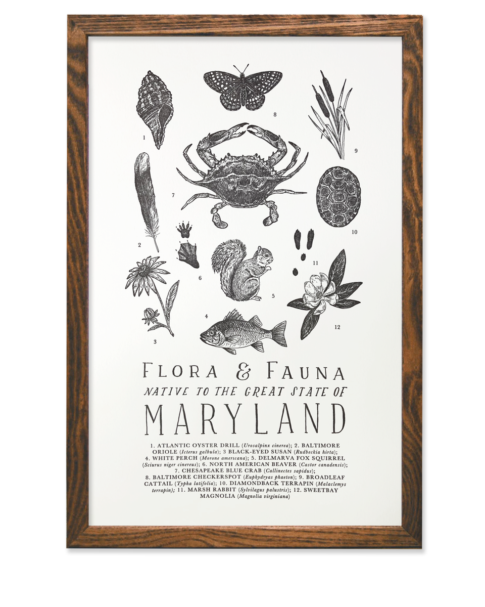 Maryland Field Guide Letterpress Art Print