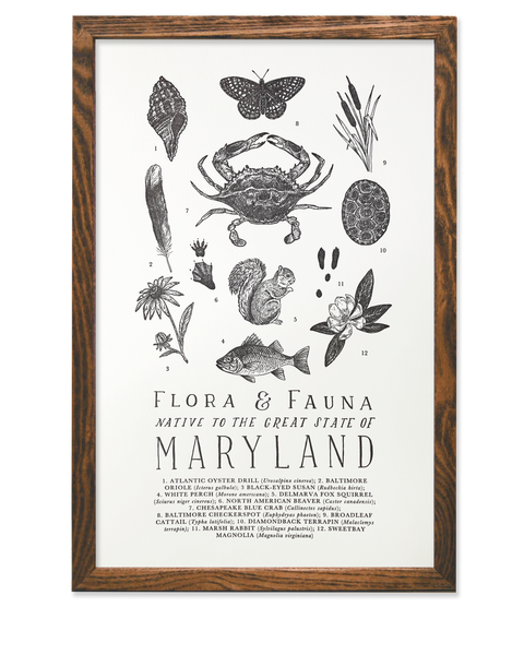 Maryland Field Guide Letterpress Art Print