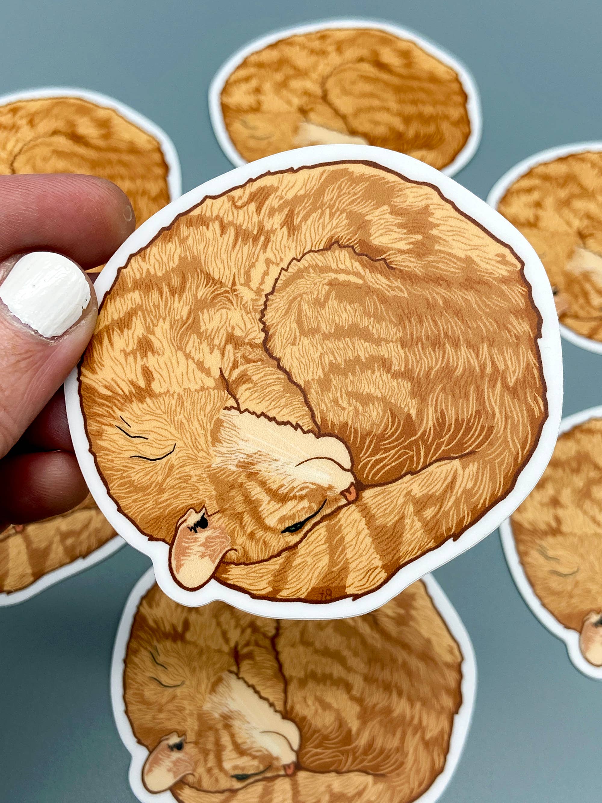 Vinyl Decal - Orange Circle Kitty