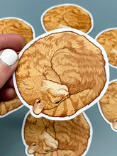 Vinyl Decal - Orange Circle Kitty