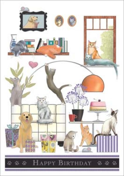 Assorted Cats Birthday
